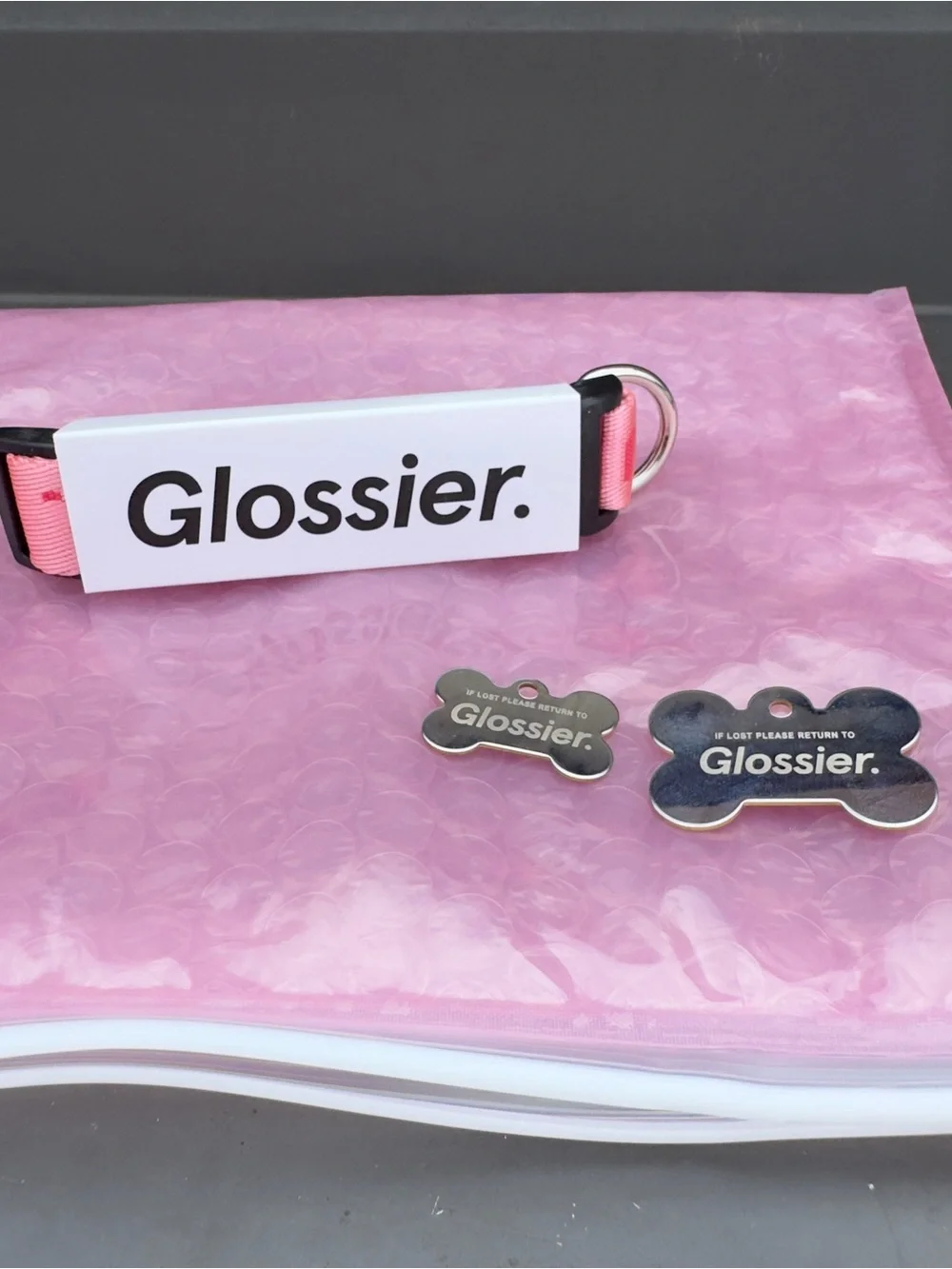 Glossier stylish dog